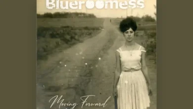 imagen del concierto de Blueroomess Concert en madrid