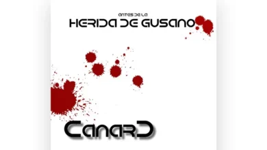 imagen del concierto de Canard Concert en madrid