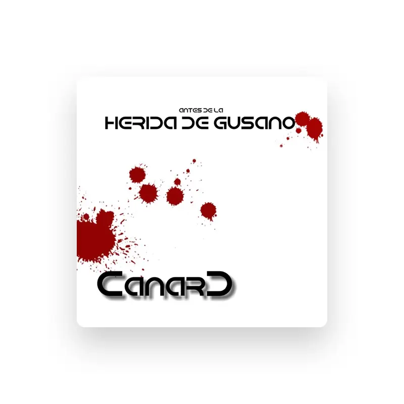 imagen del concierto de Canard Concert en madrid