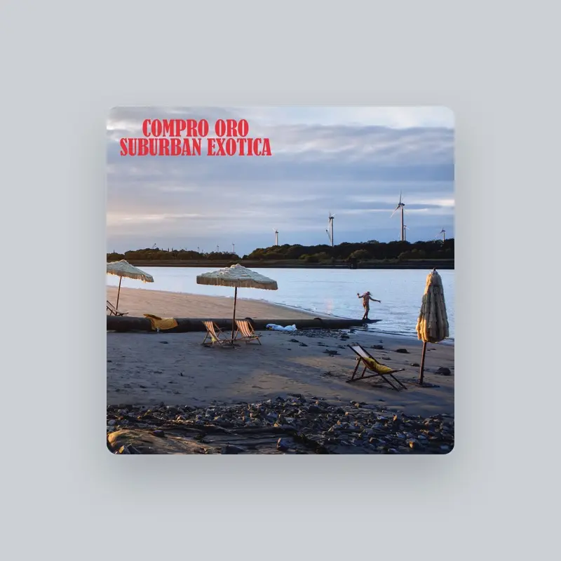 imagen del concierto de Compro Oro Concert en madrid