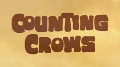 imagen del concierto de Counting Crows Concert en gasteiz