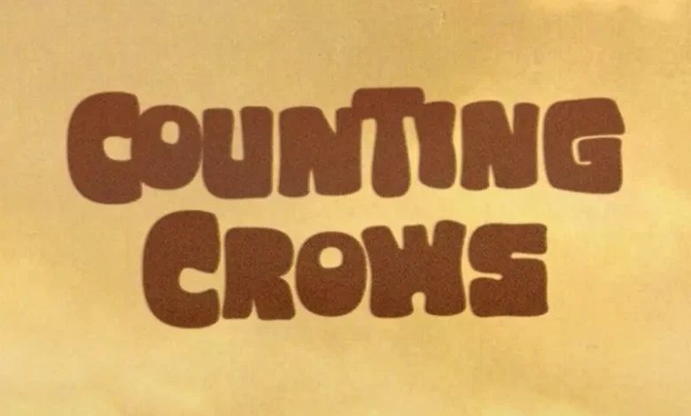 imagen del concierto de Counting Crows Concert en gasteiz