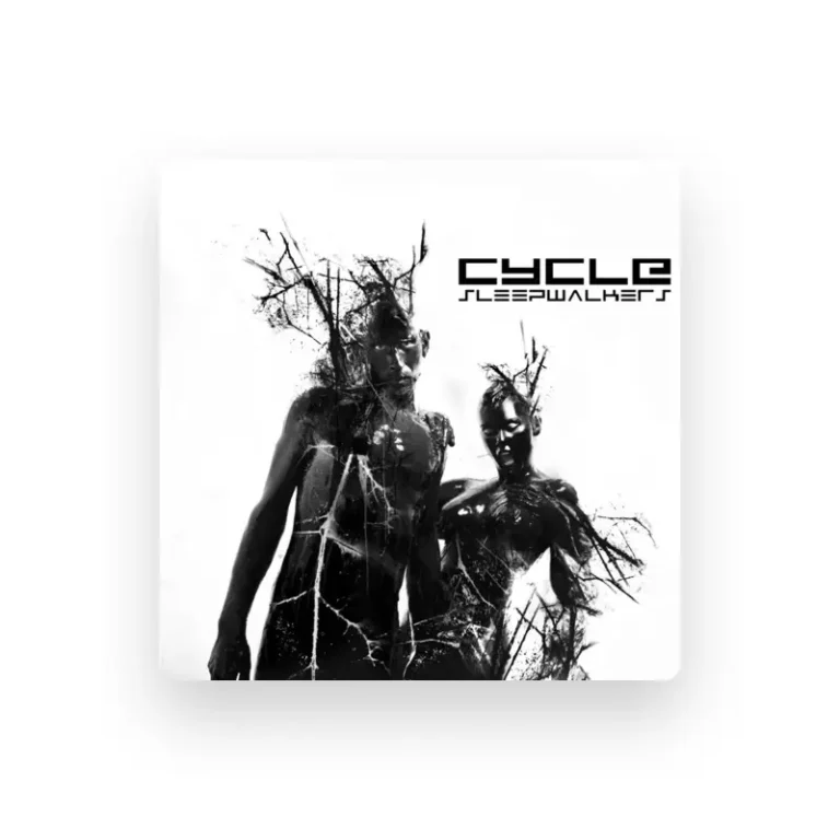 imagen del concierto de Cycle Concert en granada