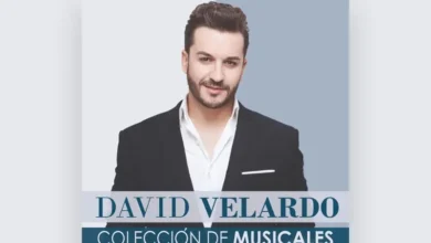 imagen del concierto de David Velardo Concert en madrid