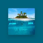 imagen del concierto de DEPOL Concert en madrid