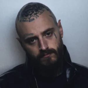 imagen de Django en directo