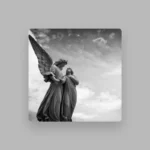 Cartel y entradas de Dragonfly Concert en Sala Spectrum (Región de Murcia) - Qconciertos