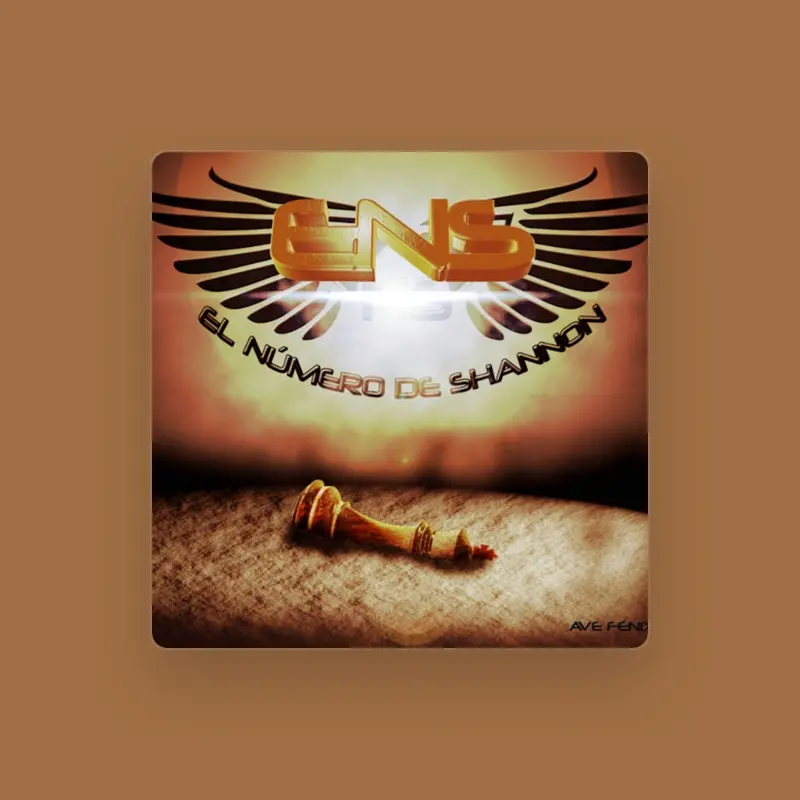 imagen del concierto de El Número de Shannon Concert en city center