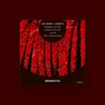 imagen del concierto de elMefti Concert en madrid