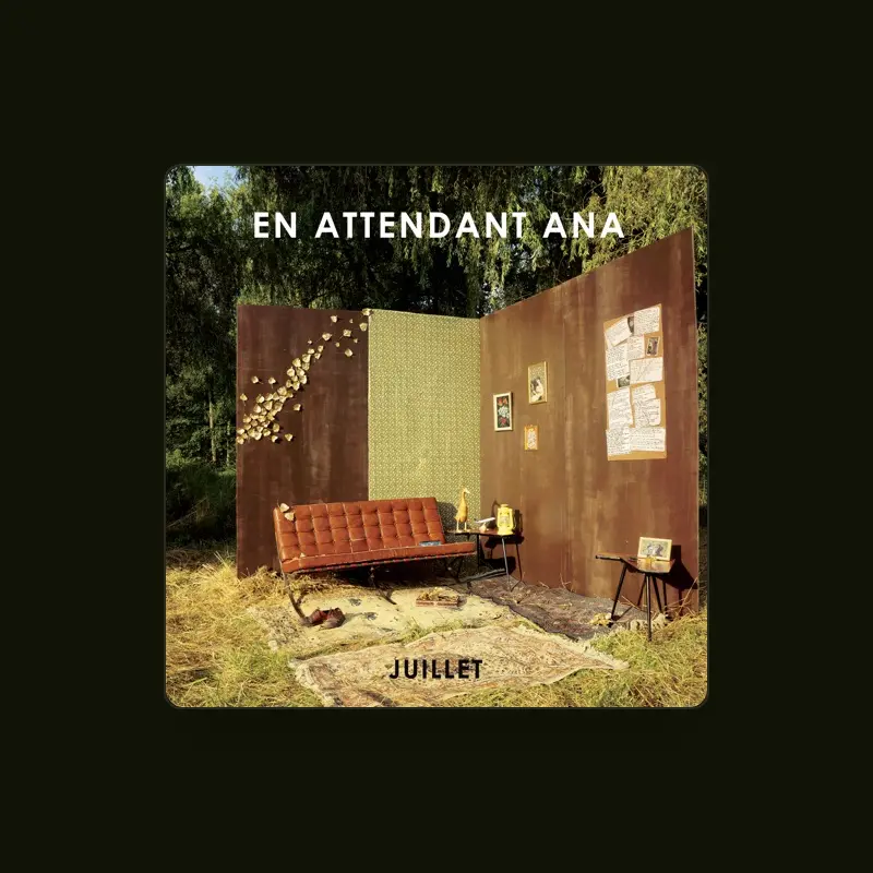 imagen del concierto de En Attendant Ana Concert en donostia