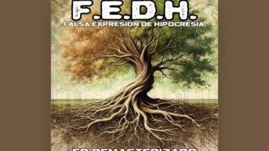 imagen del concierto de FEDH Concert en madrid