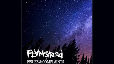 imagen del concierto de Flamsteed Concert en barcelona