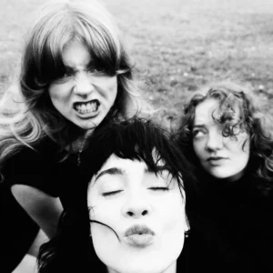 imagen de Folk Bitch Trio en directo