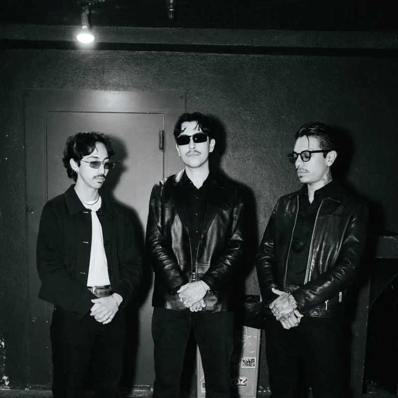 imagen del concierto de French Police Concert en madrid