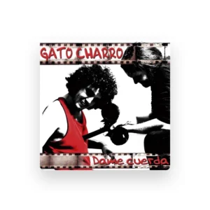 imagen de Gato Charro en directo