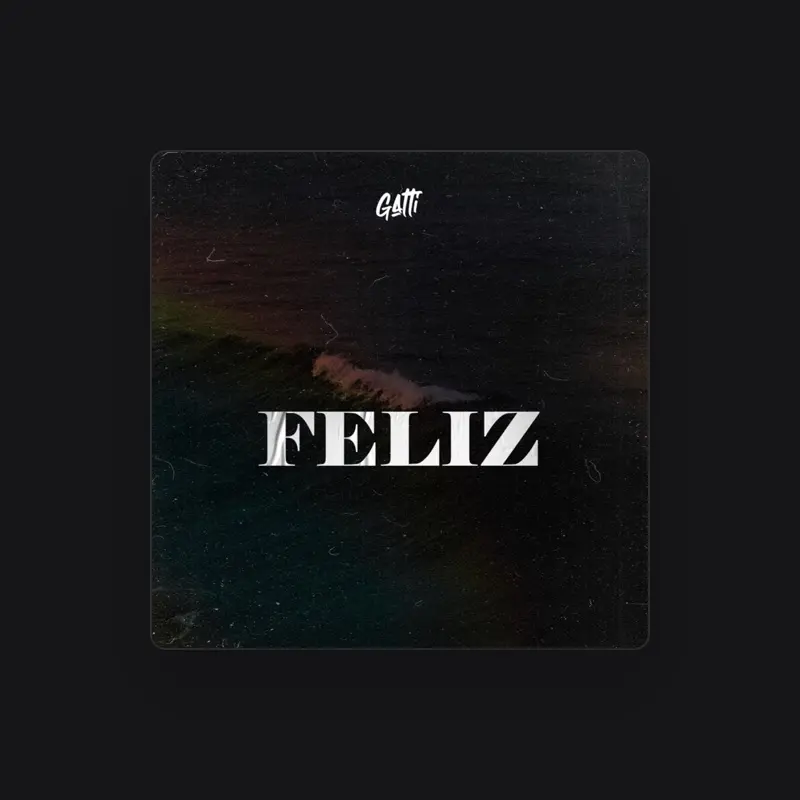 imagen del concierto de Gatti Concert en madrid