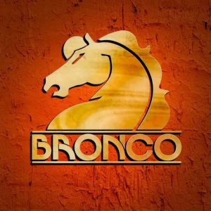 imagen de Grupo Bronco en directo