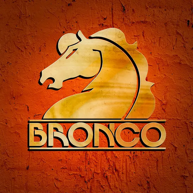 Grupo Bronco