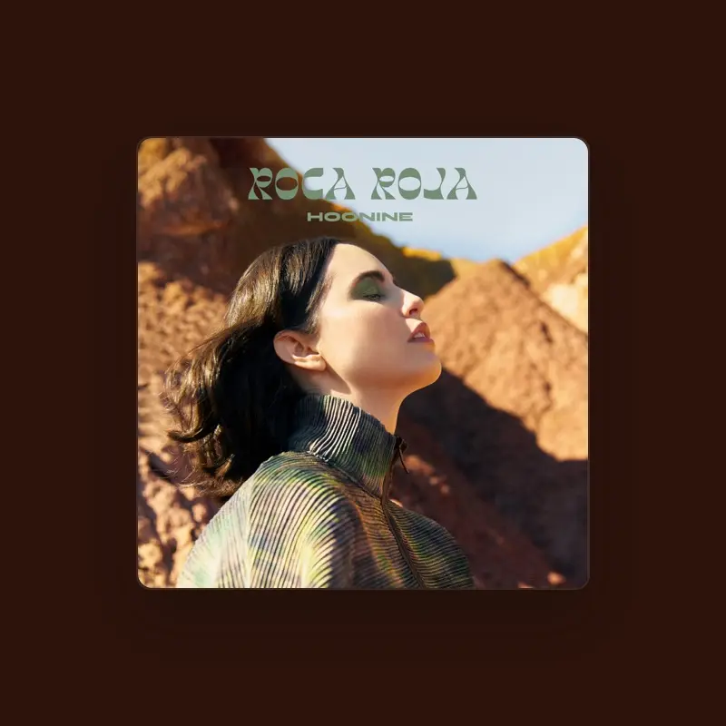 imagen del concierto de Hoonine Concert en albacete