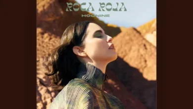 imagen del concierto de Hoonine Concert en miranda de ebro
