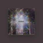 imagen del concierto de I Am Dive Concert en seville