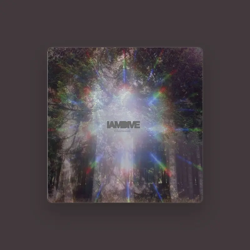 imagen del concierto de I Am Dive Concert en córdoba