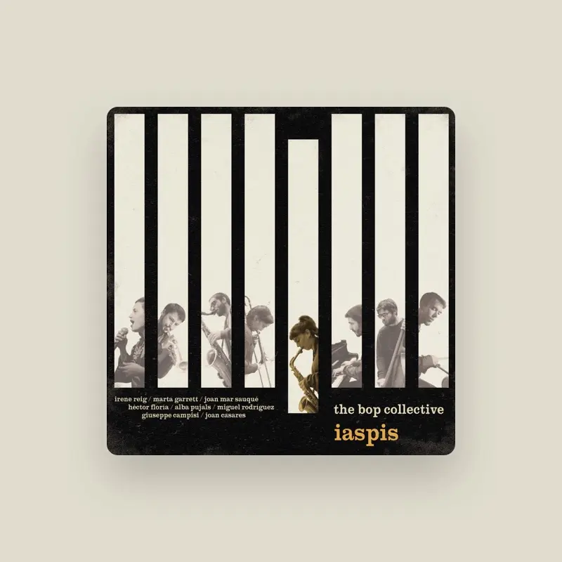 imagen del concierto de Irene Reig Concert en terrassa