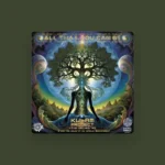 imagen del concierto de Kulam Project Concert en marbella