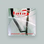 imagen del concierto de Laia en madrid