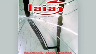 imagen del concierto de Laia en madrid