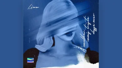 imagen del concierto de Lizz Concert en madrid