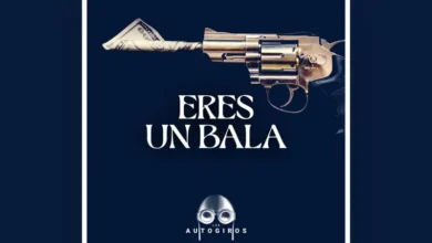 imagen del concierto de Los Autogiros Concert en valència