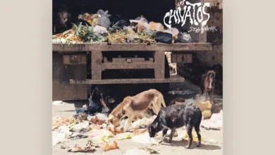 imagen del concierto de Los Chivatos Concert en l'hospitalet de llobregat