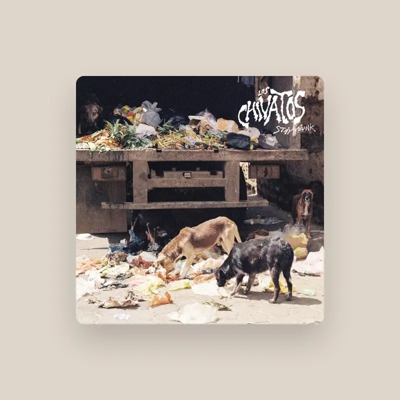 imagen del concierto de Los Chivatos Concert en l'hospitalet de llobregat