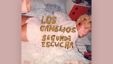 imagen del concierto de Los Ganglios Concert en santander