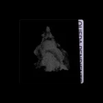 imagen del concierto de Los Sara Fontan Concert en madrid