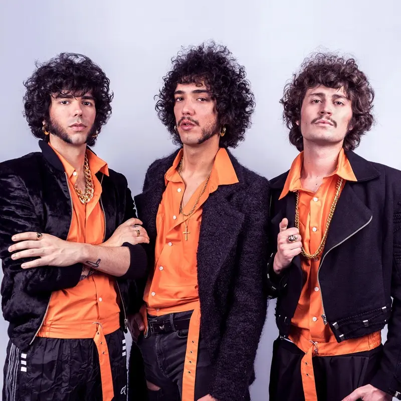 imagen del concierto de Los Vinagres Concert en madrid