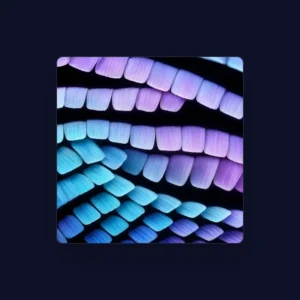 imagen de Low Blows en directo