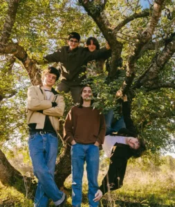 imagen de MALA en directo