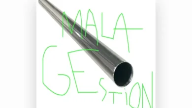 imagen del concierto de Mala Gestión Concert en valència