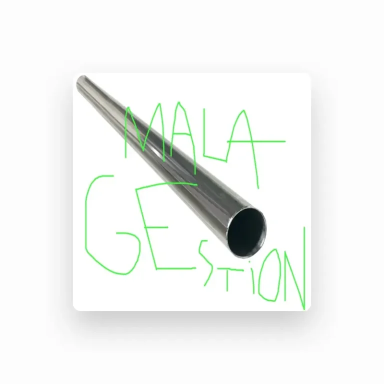 imagen del concierto de Mala Gestión Concert en zaragoza