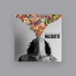 imagen del concierto de Malsujeto Concert en valència