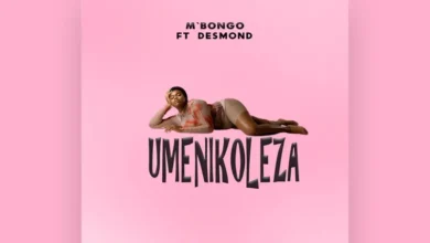 imagen del concierto de Mbongo Concert en valencia