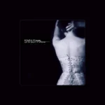 imagen del concierto de Micah P. Hinson Concert en madrid