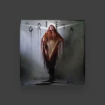 imagen del concierto de Musgö Concert en madrid