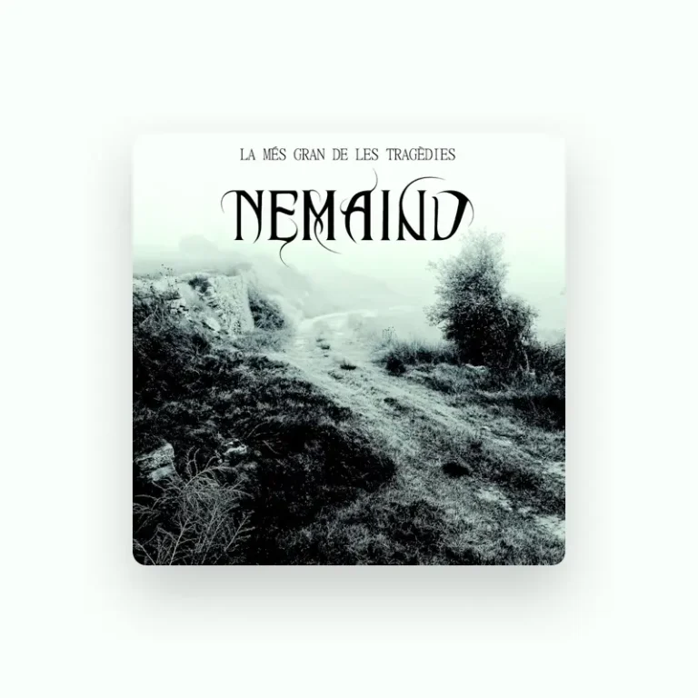 imagen del concierto de Nemaind Concert en barcelona