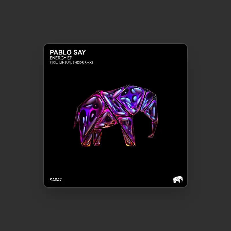 imagen del concierto de Pablo Say Concert en barcelona