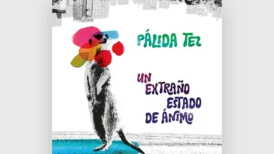 imagen del concierto de Pálida Tez Concert en madrid