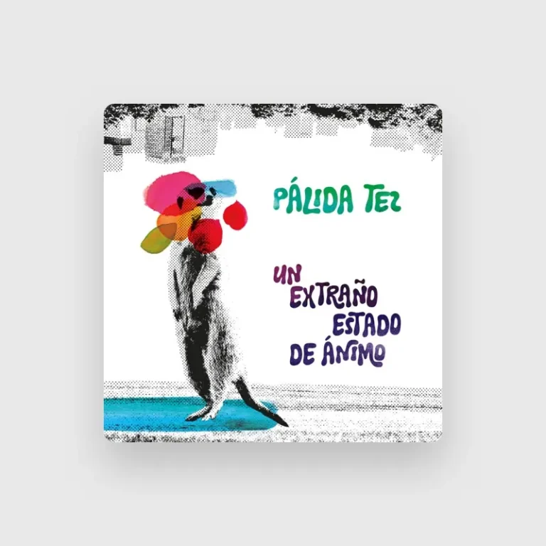 imagen del concierto de Pálida Tez Concert en madrid