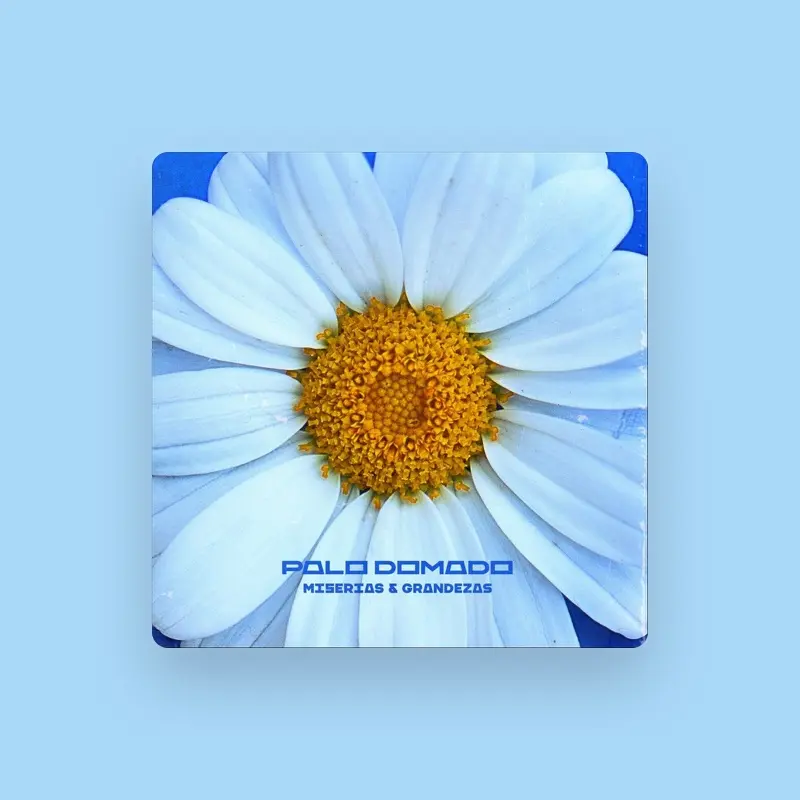 imagen del concierto de Palo Domado Concert en valència